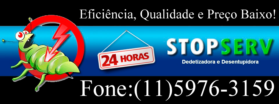 Dedetização de Aranhas